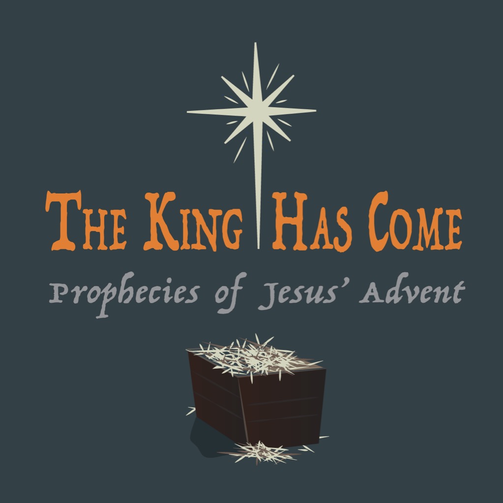 Christmas Abide Reading